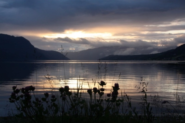 zobacz camping - zdjęcie 17