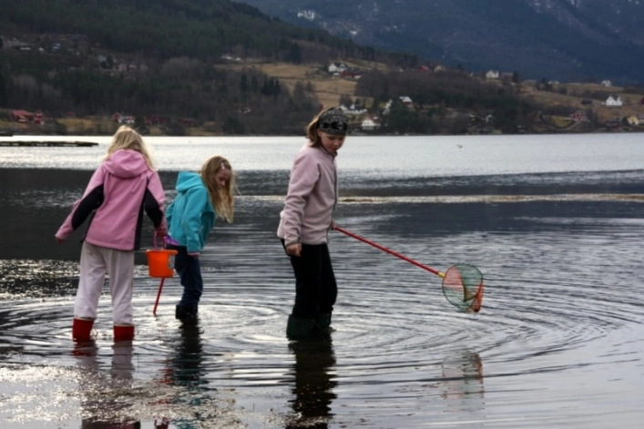 zobacz camping - zdjęcie 11
