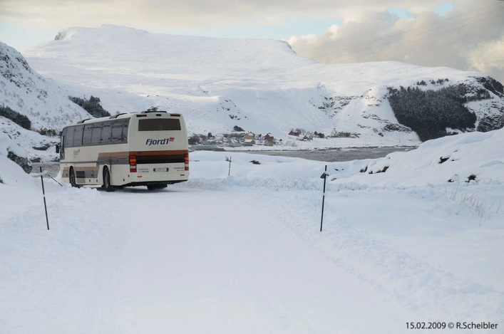 zobacz camping - zdjęcie 16