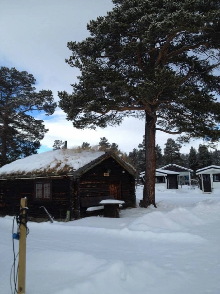 zobacz camping - zdjęcie 24