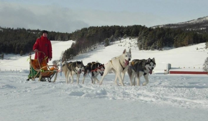 zobacz camping - zdjęcie 20