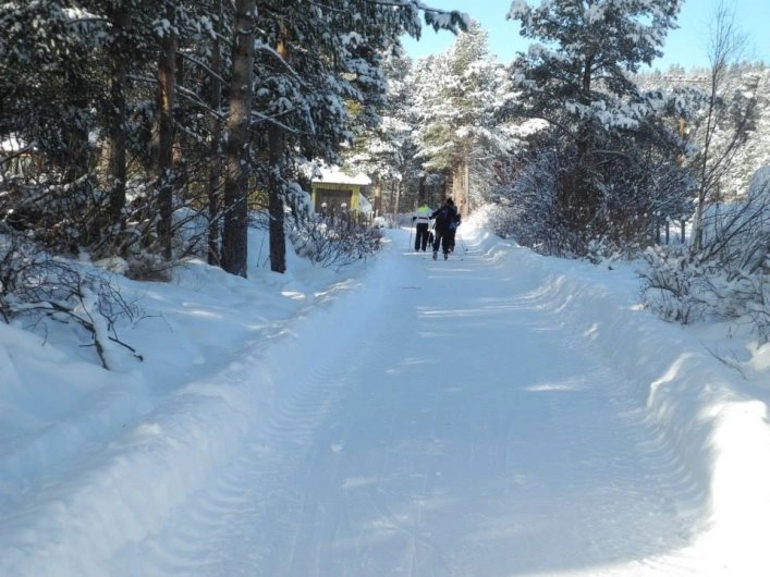zobacz camping - zdjęcie 14