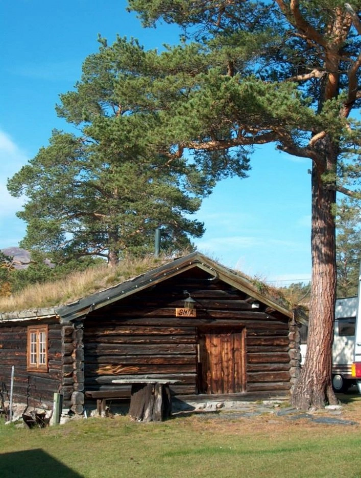 zobacz camping - zdjęcie 11