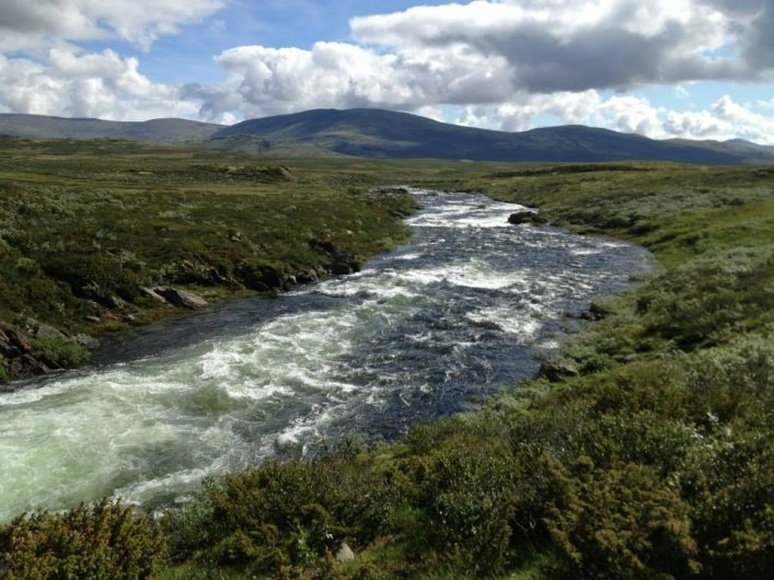 zobacz camping - zdjęcie 9