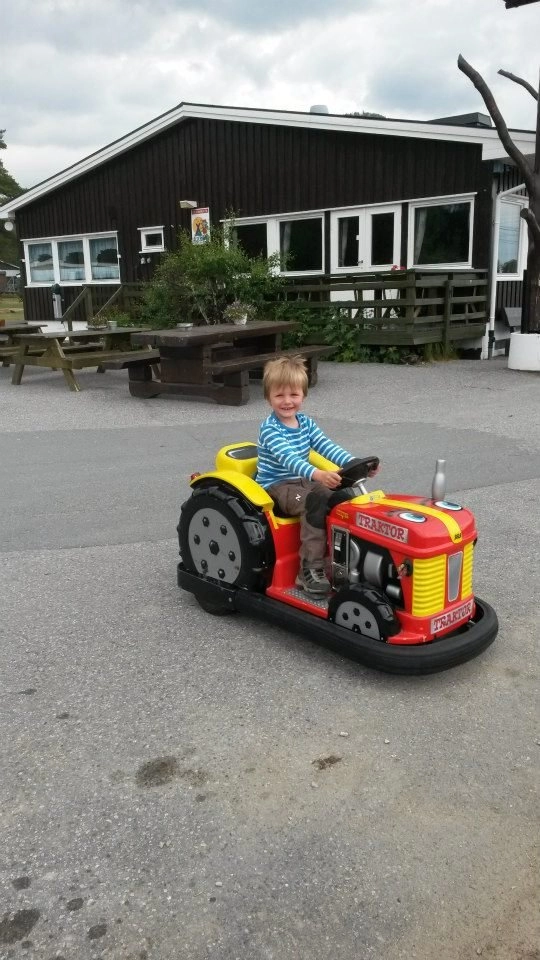 zobacz camping - zdjęcie 7