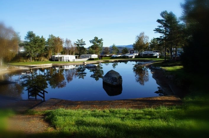 zobacz camping - zdjęcie 21