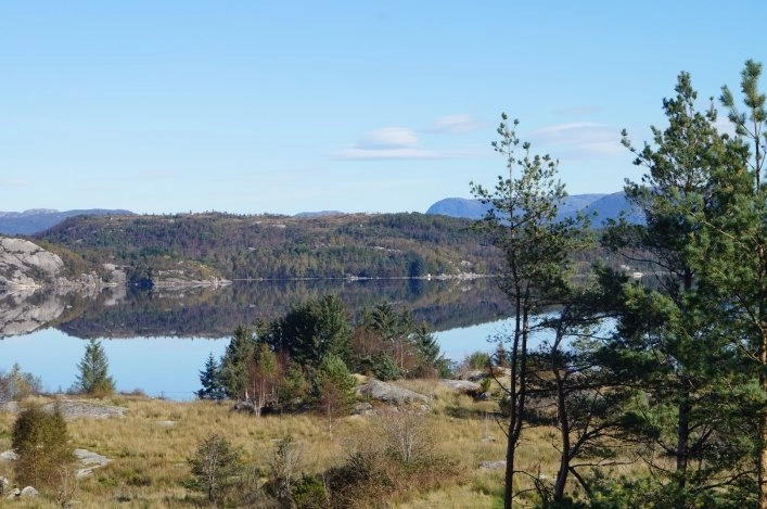 zobacz camping - zdjęcie 15