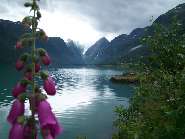 zobacz camping - zdjęcie 14