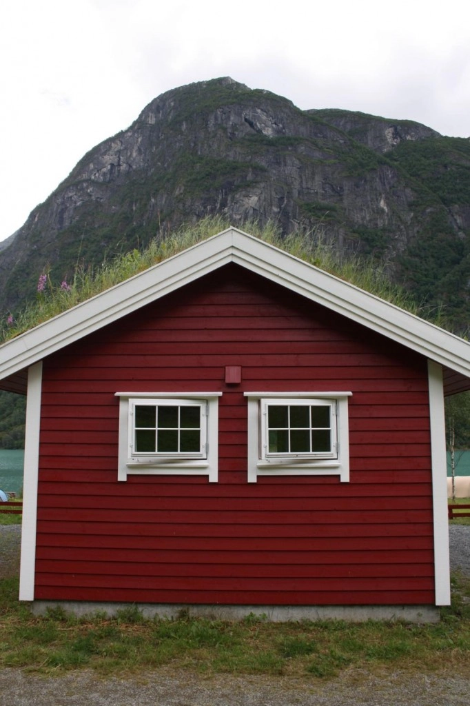 zobacz camping - zdjęcie 5