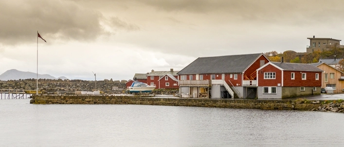 zobacz camping - zdjęcie 6