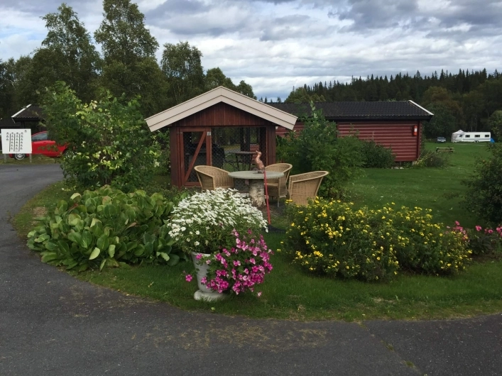 zobacz camping - zdjęcie 8