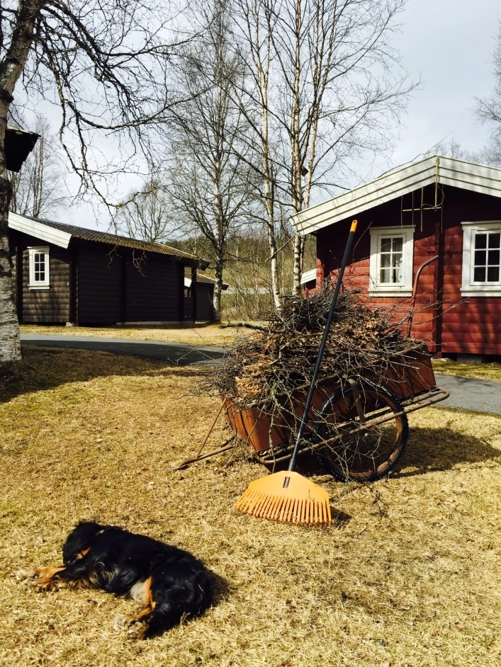 Gullvåg Camping Og Motell - zdjęcie 2