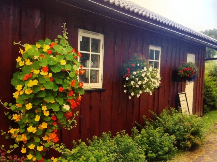 zobacz camping - zdjęcie 1