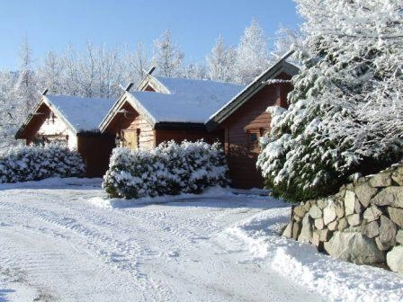 Hauen Camping - zdjęcie 3