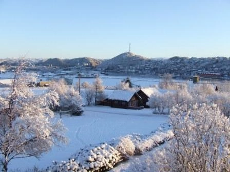 Hauen Camping - zdjęcie 2