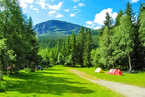 Haug Camping
