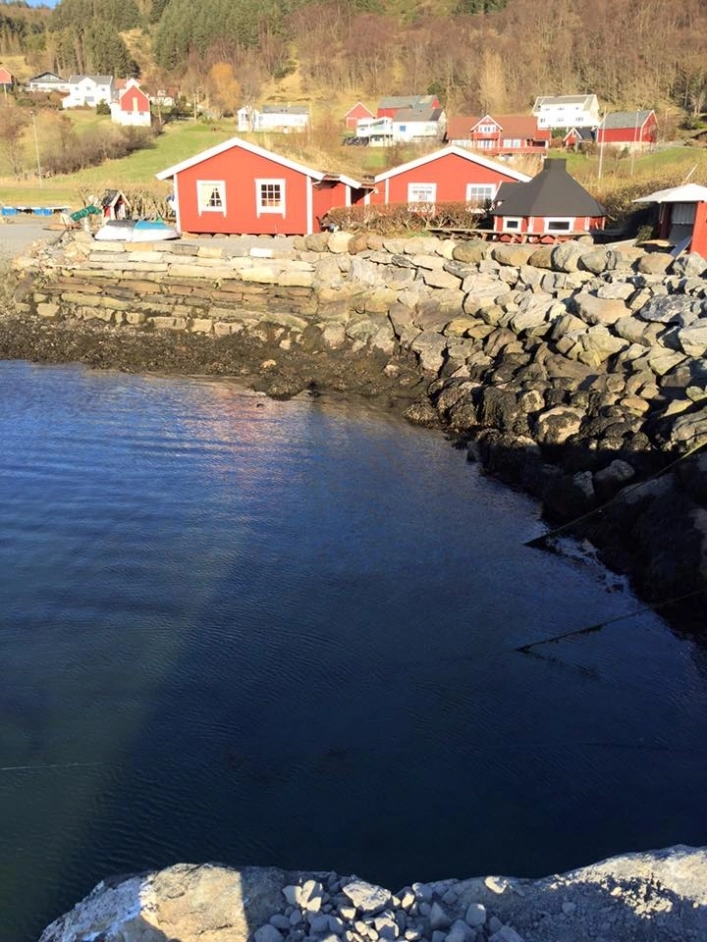 zobacz camping - zdjęcie 10