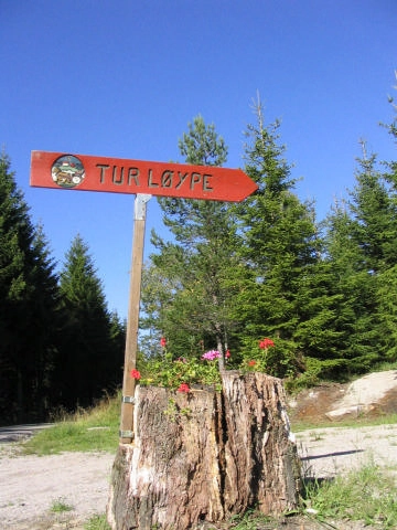 zobacz camping - zdjęcie 6