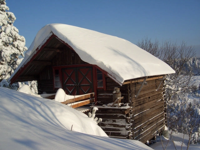 Høgetveits Naturcamp - zdjęcie 3