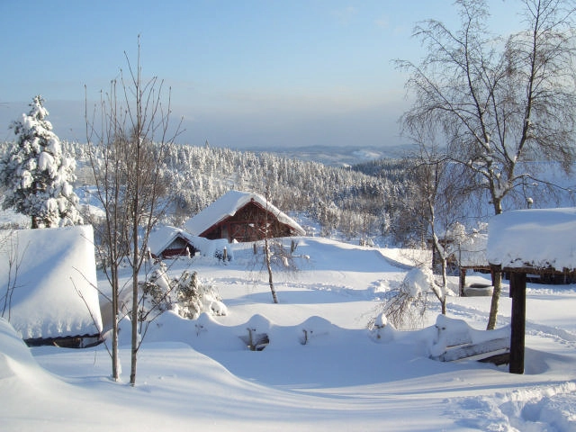 zobacz camping - zdjęcie 1