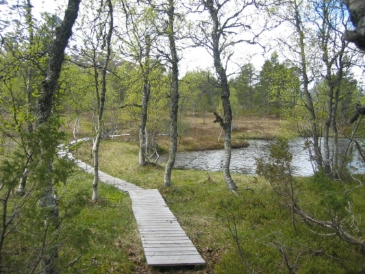 zobacz camping - zdjęcie 16