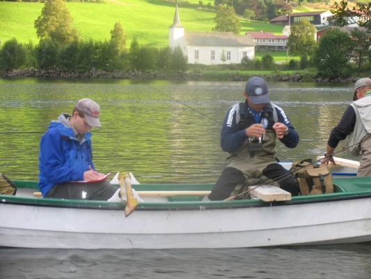 zobacz camping - zdjęcie 15