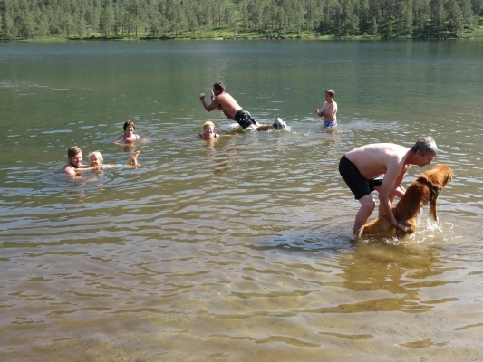 zobacz camping - zdjęcie 12