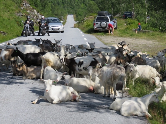 zobacz camping - zdjęcie 6