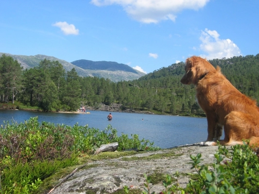 Hov Camping - zdjęcie 4