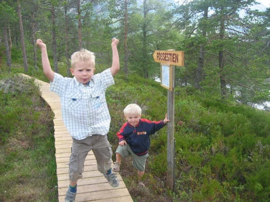 Hov Camping - zdjęcie 1