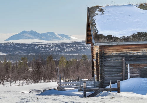 zobacz camping - zdjęcie 12