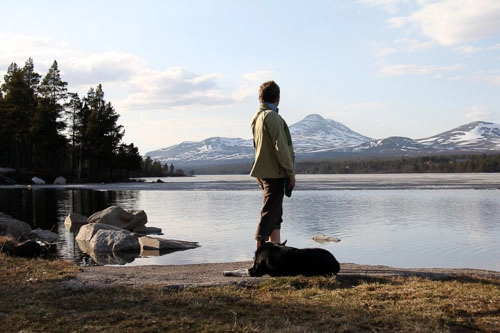 zobacz camping - zdjęcie 8