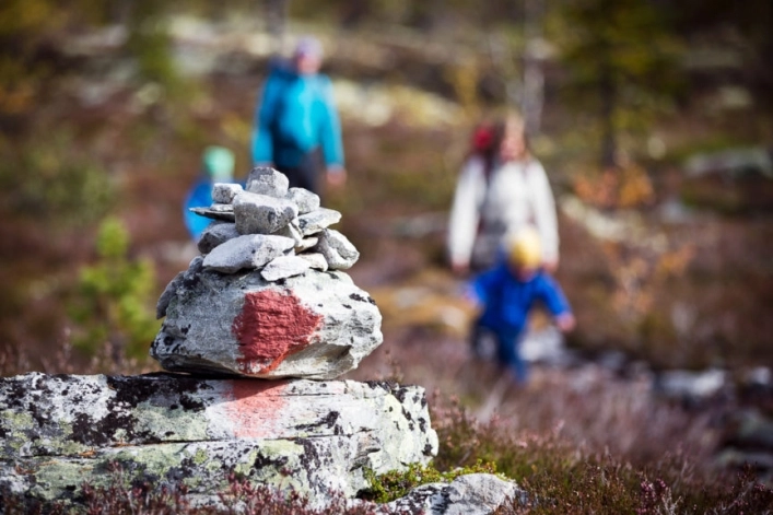 zobacz camping - zdjęcie 6