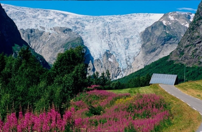 zobacz camping - zdjęcie 11