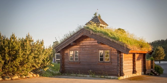 zobacz camping - zdjęcie 15