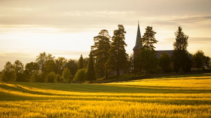 zobacz camping - zdjęcie 4