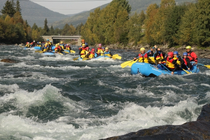zobacz camping - zdjęcie 20