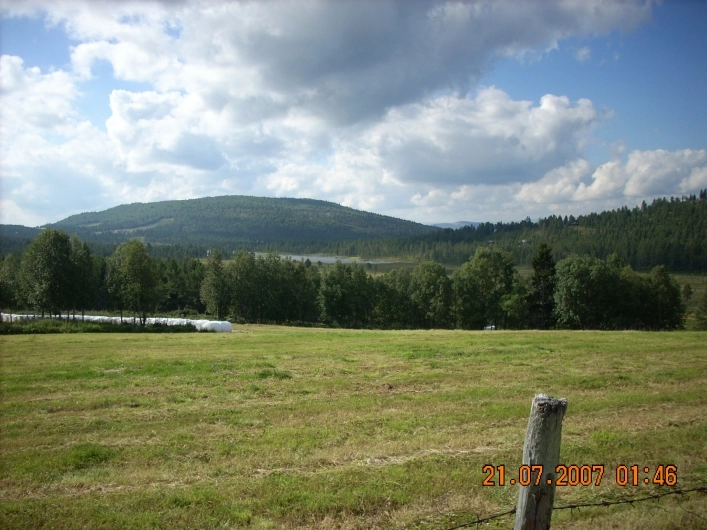 zobacz camping - zdjęcie 18