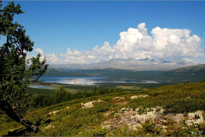 zobacz camping - zdjęcie 16