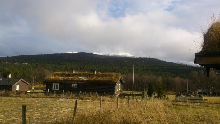 zobacz camping - zdjęcie 6