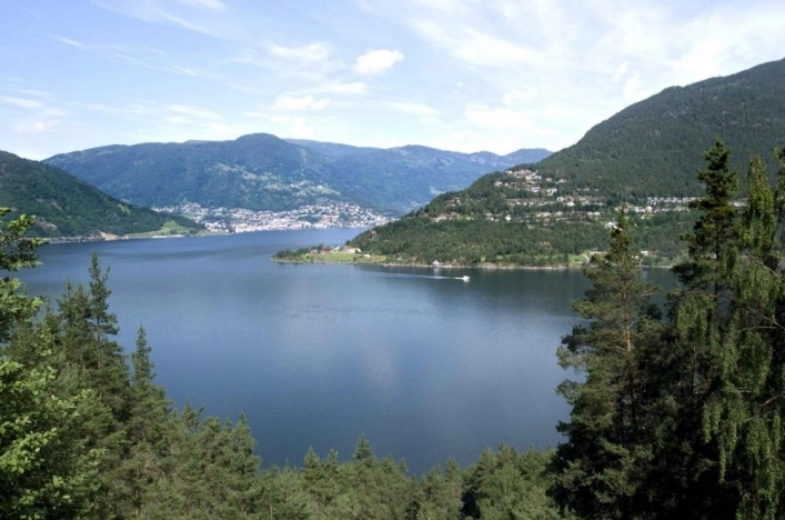 Kjørnes Camping - zdjęcie 4