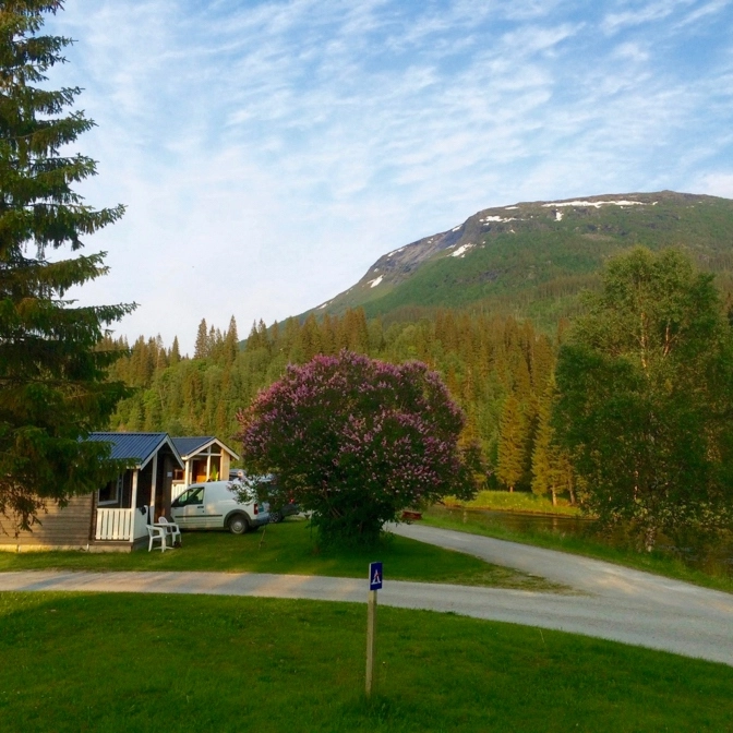 zobacz camping - zdjęcie 14