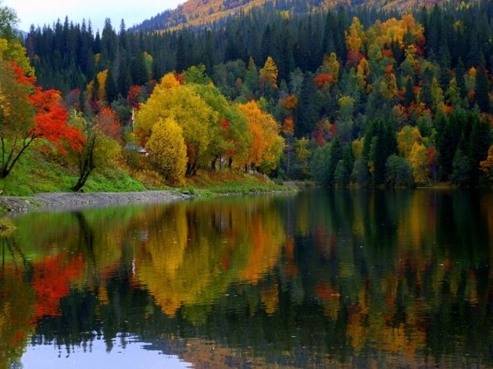 Korgen Camping - zdjęcie 3