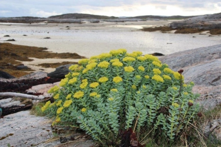 zobacz camping - zdjęcie 7