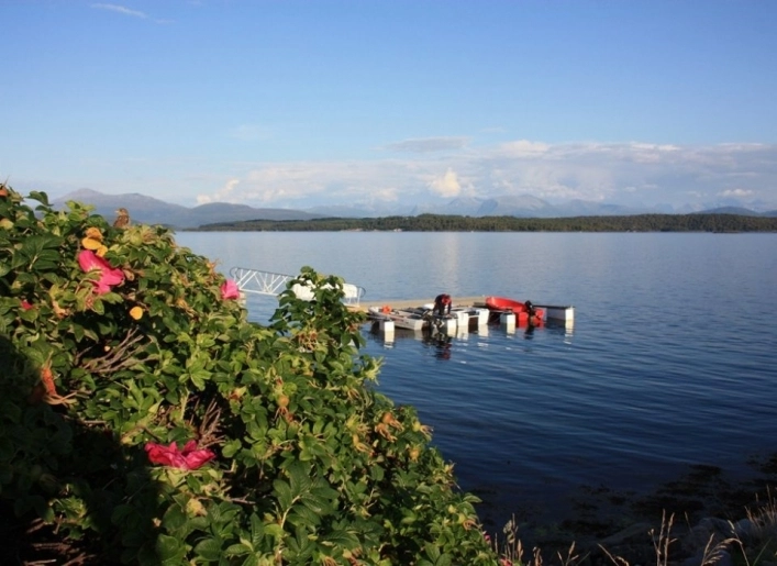 zobacz camping - zdjęcie 7