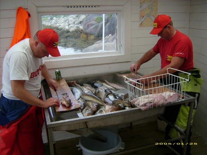 zobacz camping - zdjęcie 19