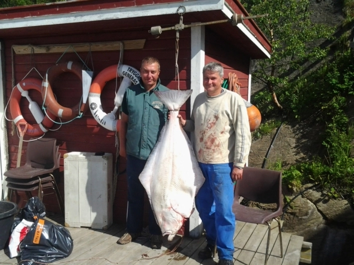 Kvitneset Camping - zdjęcie 1