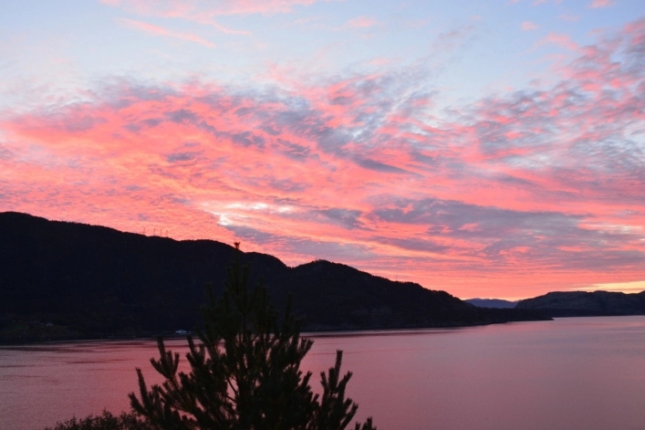 zobacz camping - zdjęcie 14