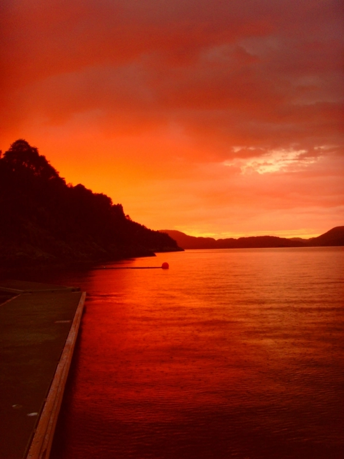 zobacz camping - zdjęcie 7