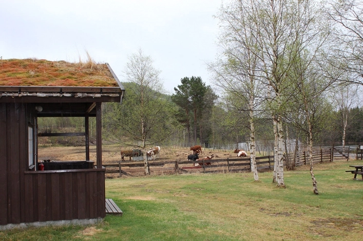 zobacz camping - zdjęcie 5